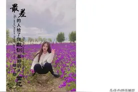 网友：咱有理，咱怕啥，下车跟他理论理论图片