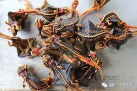 没有买卖就没有杀害！图片