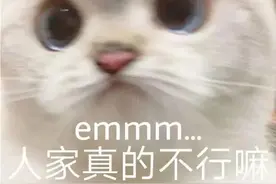 表情包｜弟弟呆图片