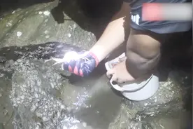 赶海捡海鲜：赶海如何捉螃蟹不让螃蟹钳，告诉你正确的捉螃蟹方法视频封面