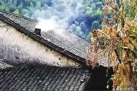 大饥荒中的故事图片