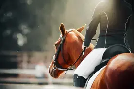 “凡尔赛学”：一百年前就玩剩下的东西图片