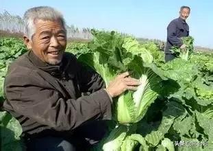 邢台十大皇家贡品，你知道是什么吗？