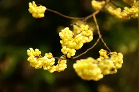 反穿九华山，真的是会被自己吓到，这是从前来过的地方吗图片