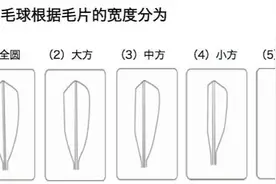 手把手教你选择适合你的羽毛球，让你的羽毛球减少消耗图片
