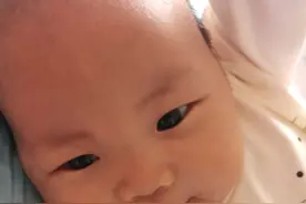 老子、儿子和孙子图片