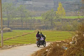 第一次在农村婆家过年的情形，让我终生难忘图片