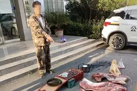 非法狩猎野猪，3人被刑拘！图片
