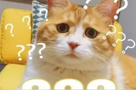 为啥刚发风云四号又发三号？《风云卫星入门秘籍》来了！图片