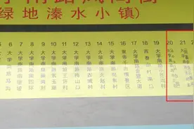 影响数万居民出行！郑州这条公交跑了不到俩月突然停运，为啥？图片