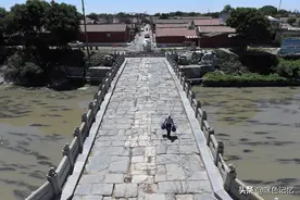 北京大爷400年通运桥上遛鸟儿图片
