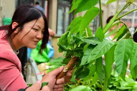 粮仓稻谷遭虫蛀如何治？老农六土法，稻谷储存一年都没事图片