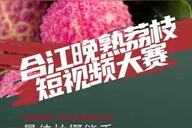 “合江晚熟荔枝”短视频大赛开始啦！ 万元现金大奖等您来拿！图片