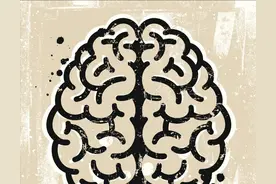 自己打自己脸：从大脑整体论到大脑分工论图片