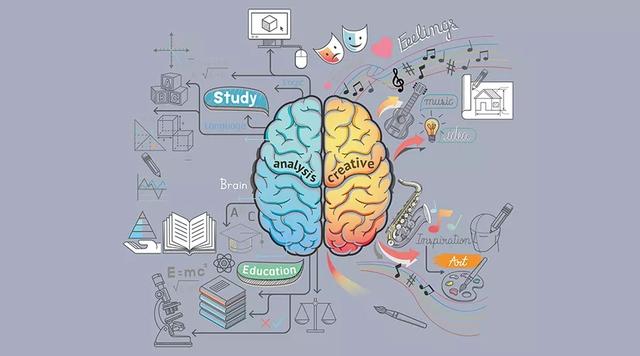 DHA琛ヤ笌涓嶈ˉ锛屾櫤鍔涖€佽鍔涖€佽瑷€鏂归潰鐨勫樊鍒珶杩欎箞澶э紵