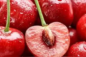 樱桃红了！临沂樱桃采摘地图新鲜出炉图片