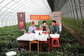 为湖北经济复苏掏60亿，刘强东的京东再放大招图片