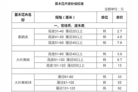 上海市征地财物补偿标准（2020）——苗木及花卉类图片