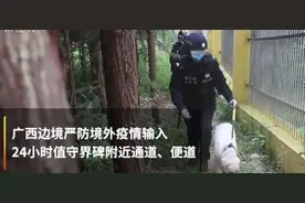 13名外国人非法爬山入境中国，现场视频曝光，已遣返！图片