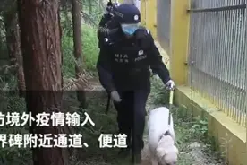 13名外国人非法爬山入境中国，现场视频曝光，已遣返！图片