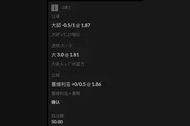 8月15日竞彩(五百冲万）第15单 余226投50现176图片