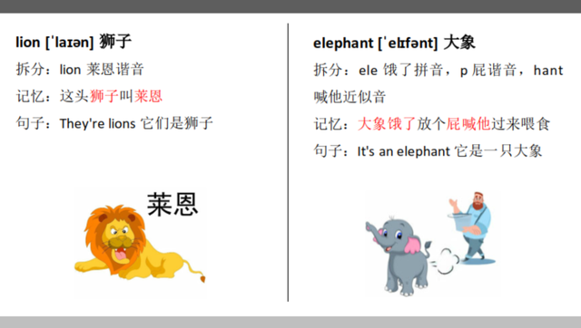 如何能快速记忆单词狮子、大象、友好的、聪明联想记忆法