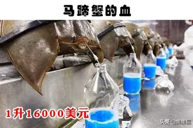 在世界各地可以找到的7种极其昂贵的液体图片