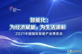 特稿丨改变：与智博会同行图片