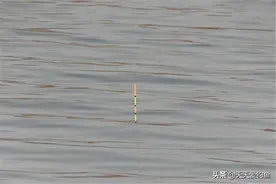 调漂，何时灵，何时钝？跟剩余浮力无关，看得是调目和钓目差图片