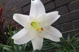 人生的味道，百味杂陈，值得品味和怀念图片