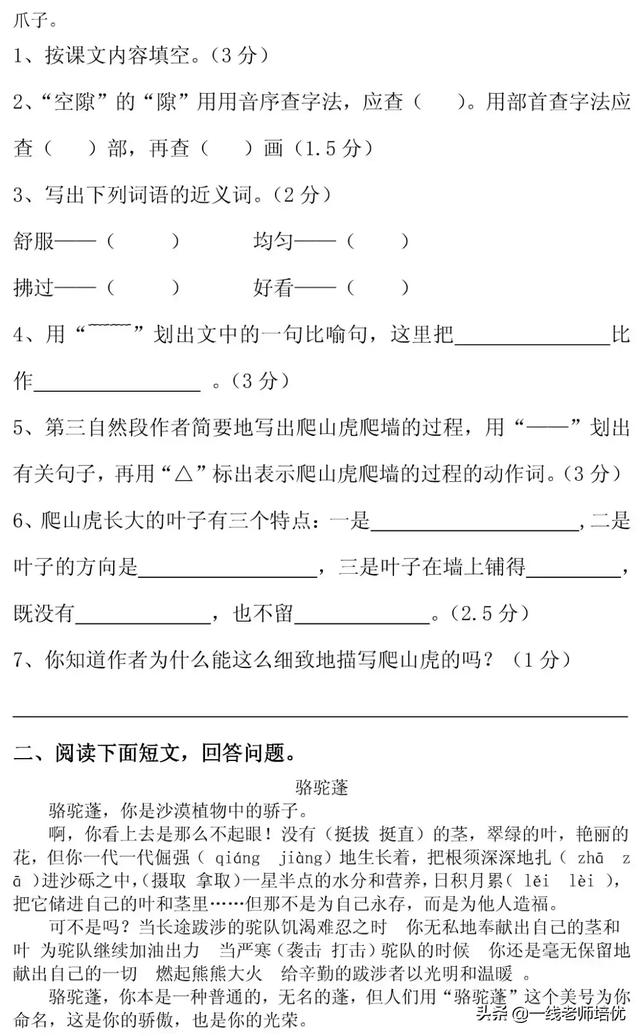 知识点+同步练习题 部编版四年级语文上册 10 爬山虎的脚