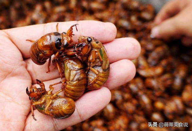 糖果餞:它是山東省菏澤市鄄城縣的特產.