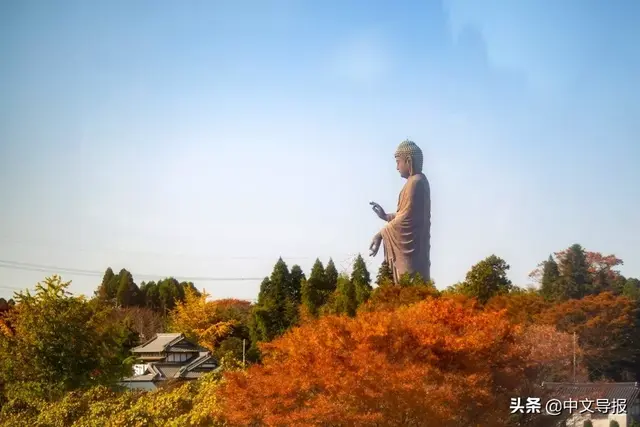 告诉你茨城县的人气绝景和真实魅力：凭啥在日本排名垫底？