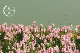 三个过来人的经历：“一婚跟二婚，有什么区别？”图片