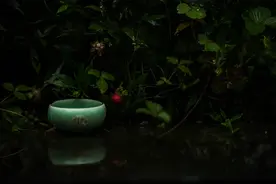 禅乐 |《玄默》听一缕禅音，抚慰疲惫之心图片