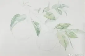 「合尚教育」水彩教学五步学会水彩画桃子水果图片