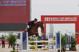 赞就对了！十四运会马术赛场迎“首秀”图片