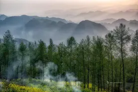德国古典美学的审丑之维图片