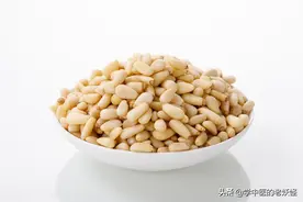 每日一中药——松子仁图片