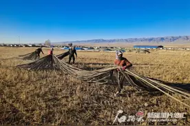 巴里坤县：省钱又环保 滴灌回收是个宝图片