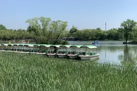 全部免费！北京这些公园人少景美，还能放风筝！假期去正好！图片