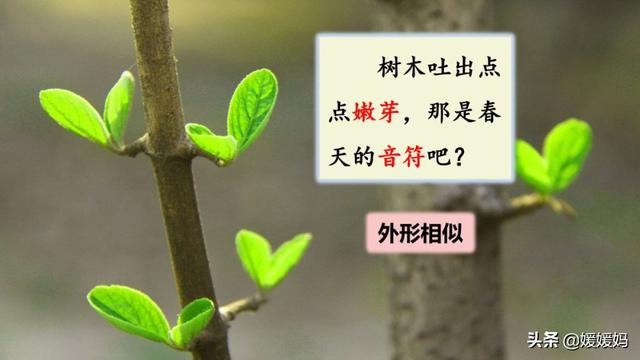 二年级下册语文课文2《找春天》图文详解及同步练习