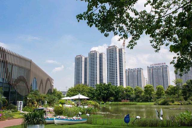 “广东四小虎”的概述