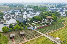 乡村，打造一批田园康养基地！“农康旅”融合是切入点、引爆点？图片