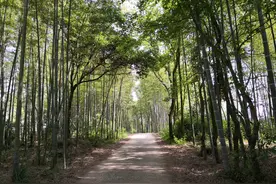 世上无鬼，方言“鬼”多。（五）图片