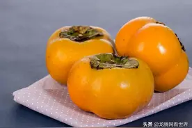 「龙腾网」中国脆柿子VS越南柿子图片