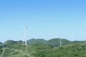 关于各“四大”图片