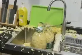 黑龙江一女子用塑料瓶自制腌菜，开盖瞬间炸成烟花，现场一片狼藉图片