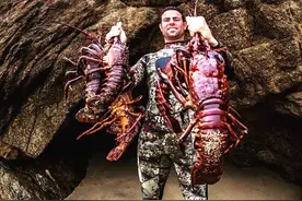 长生不老、永葆青春真的不再是神话，探秘巨型龙虾不死之谜图片