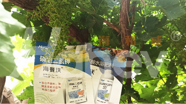 氨基酸叶面肥，看完让人直呼内行